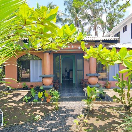 Micheck Beach House Tortuguero Exteriér fotografie