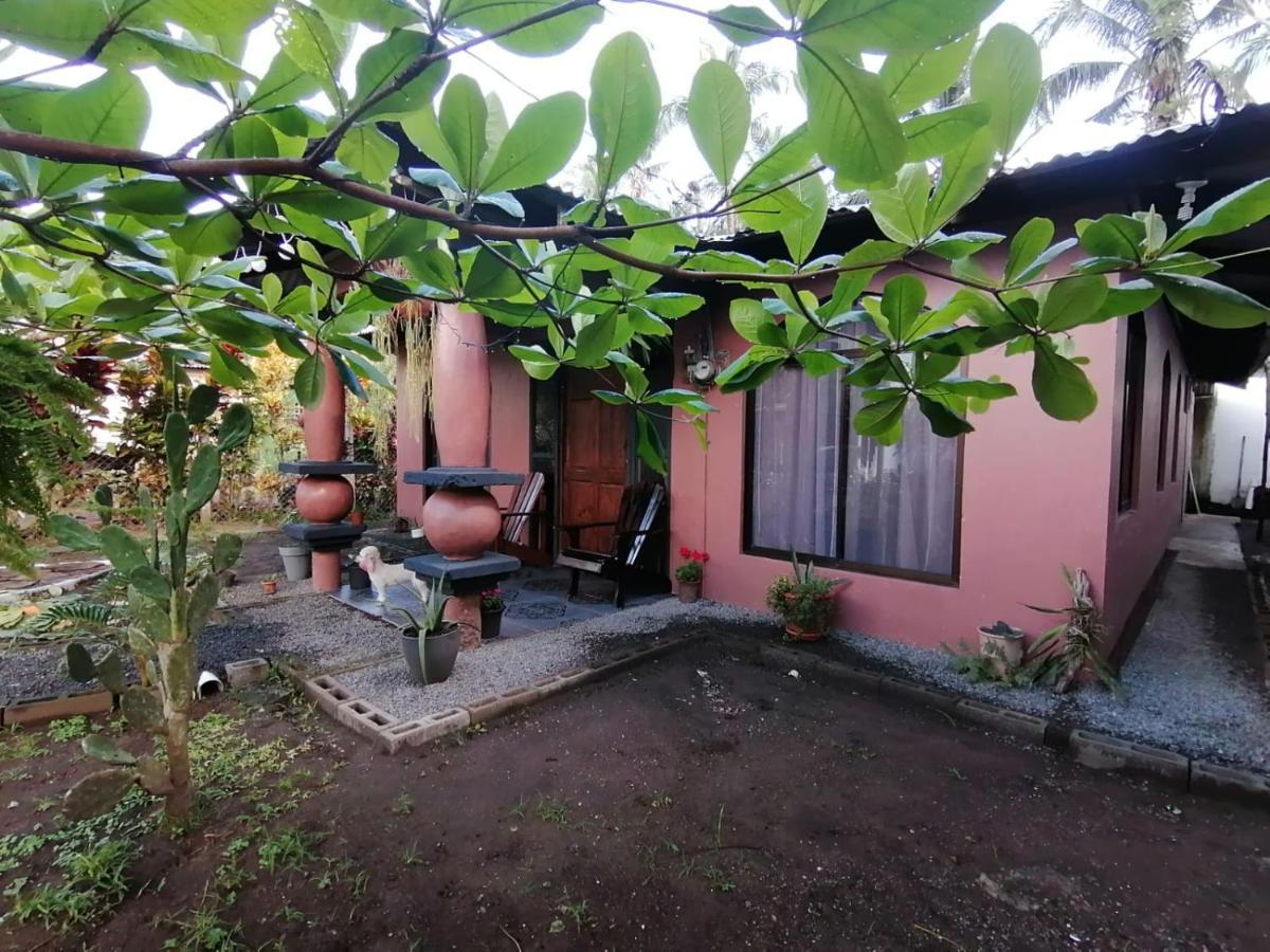 Micheck Beach House Tortuguero Exteriér fotografie